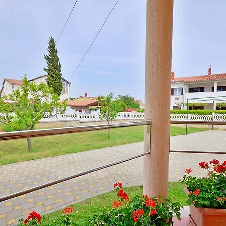 Bogetic * 普莱曼图拉